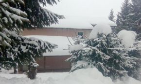 Отель Apartmani Nais Zlatibor, Златибор
